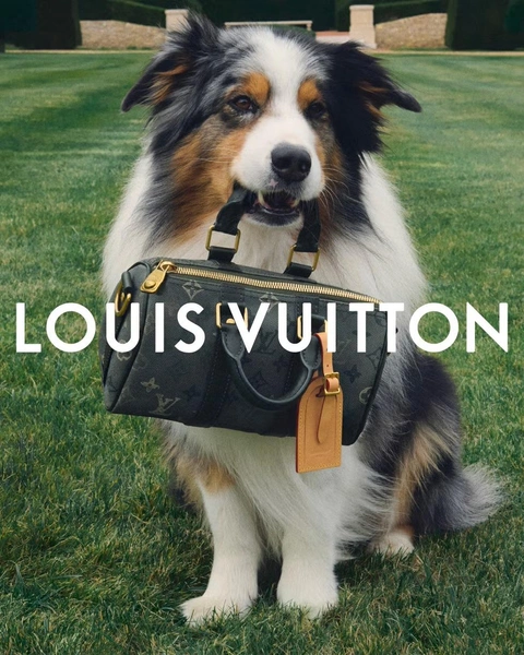 Источник: Louis Vuitton 