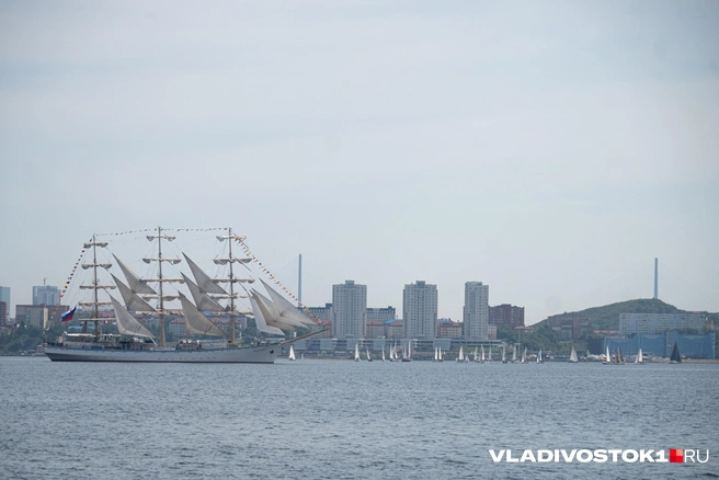Источник: Елена Буйвол / VLADIVOSTOK1.RU