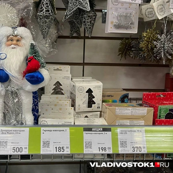 Источник: Елена Буйвол / VLADIVOSTOK1.RU