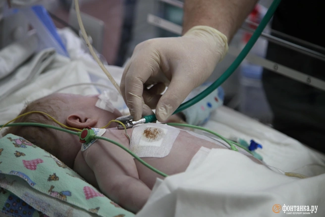 Беременность стала неожиданной | Источник: Павел Каравашкин / FONTANKA.RU