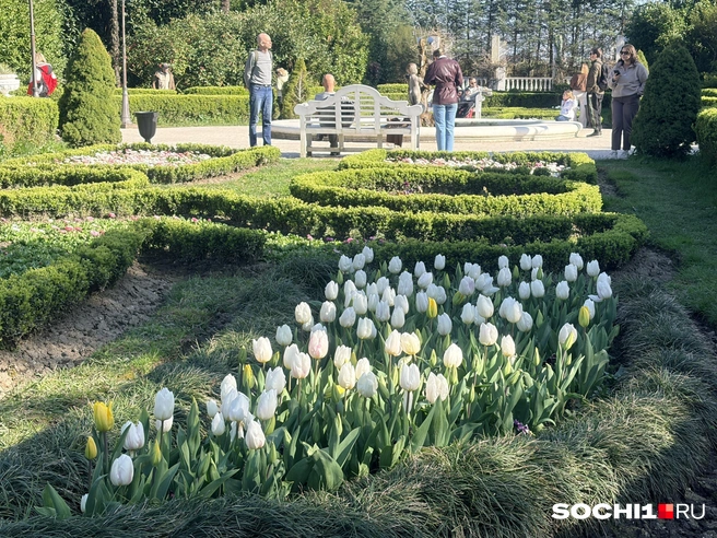 В парке восстанавливают ландшафтное искусство | Источник: Анна Грицевич / SOCHI1.RU