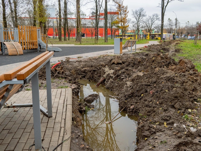 На территории парка образовались лужи, требующие осторожности | Источник: Кирилл Поверинов / 76.RU