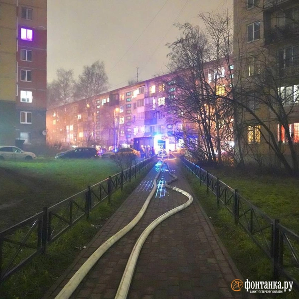 Источник: Павел Даиси / FONTANKA.RU