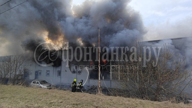Площадь увеличилась в пять раз. На Кушелевской дороге продолжают тушить пожар | Источник: Читатель «Фонтанки»