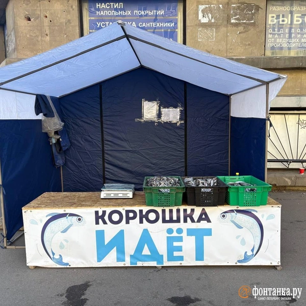 На углу Кондратьевского проспекта и улицы Васенко | Источник: Дарья Драй / «Фонтанка.ру»