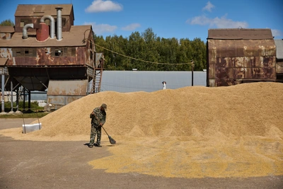 Кубань ввела ЧС и поддержку аграриев на 5 млрд