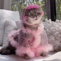 Аватарка Виктория Данилова