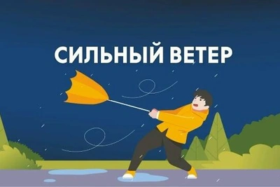 В Орловской области ожидается сильный ветер