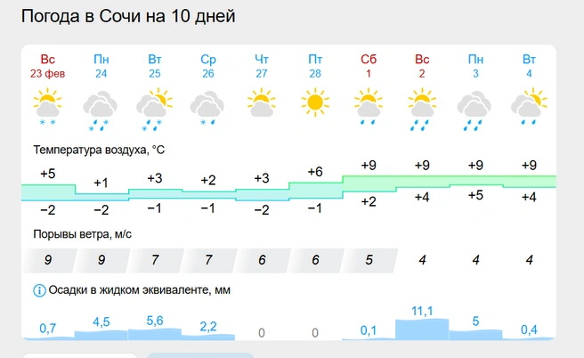 Скриншот | Источник: gismeteo.ru