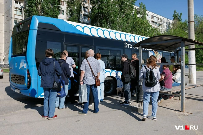 Электробус будет ездить в Жилгородок только по будням | Источник: Алексей Волхонский / V1.RU