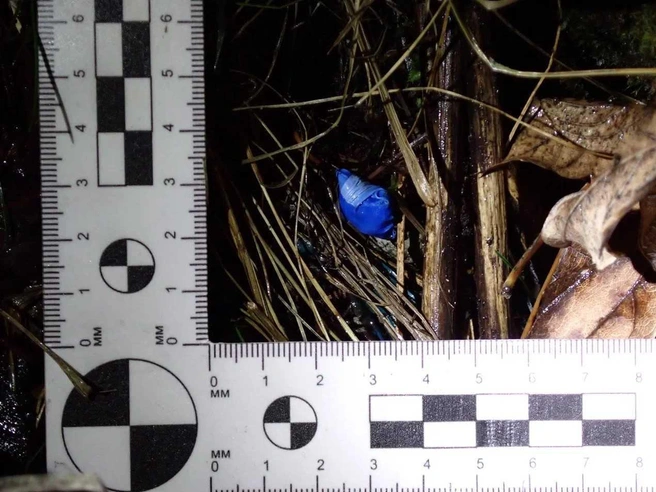 После допроса оперативники нашли более 20 тайников с наркотиками | Источник: УТ МВД России по УрФО