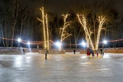 Мэр Нижнего ответил на критику благоустройства парка