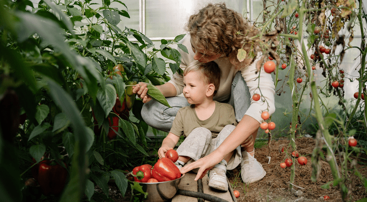 Как научить ребенка есть овощи: 2 идеи