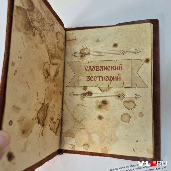 Источник: Ирина Яковлева / V1.RU