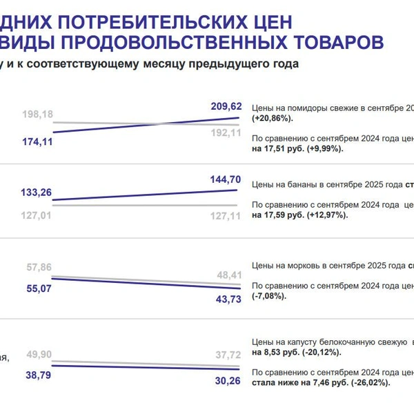 Помидоры и бананы дорожают, борщевой набор дешевеет. Петростат рассказал, как изменились цены на продукты в сентябре | Источник: Петростат