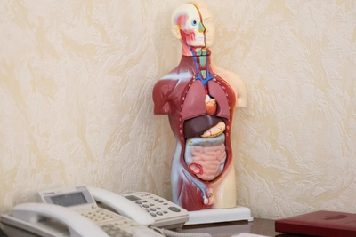 Mortality from respiratory diseases in St. Petersburg has increased 2.5 times