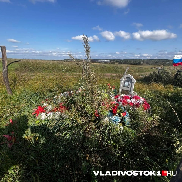 Источник: Елена Буйвол / VLADIVOSTOK1.RU