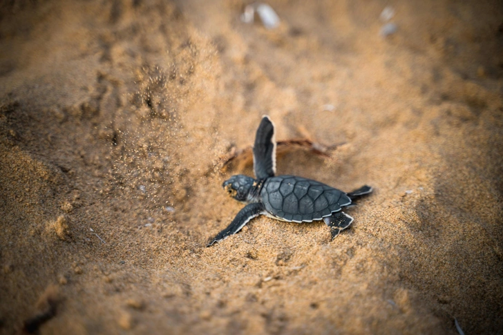 Источник: David Levêque via Unsplash