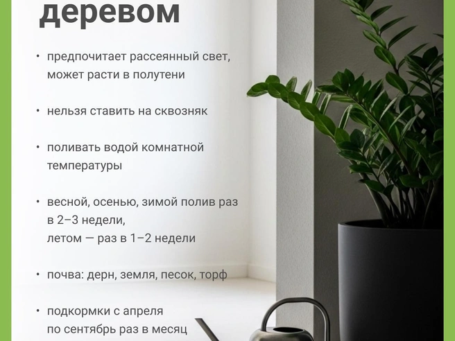 Источник: Юрий Орлов / Городские медиа