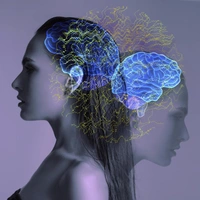 Мозг можно прокачать: как развить память и сохранить ясность мышления в любом возрасте