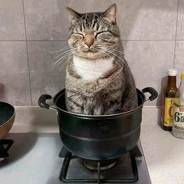 Источник: соцсети