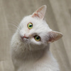 userpic__Макс Ппп