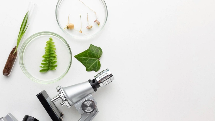 Школьный тест по биологии, который поставит в тупик даже отличников: ответьте на 10 вопросов