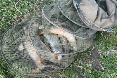 В Астраханской области задержаны подозреваемые в кражах