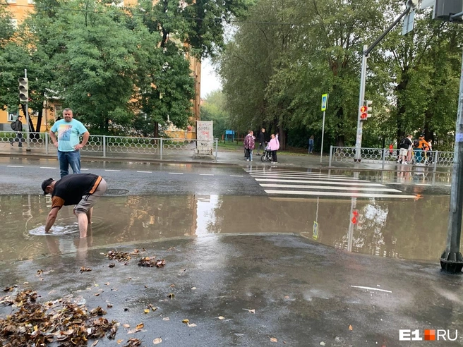 И это действительно помогло! | Источник: Дарья Манохина / E1.RU