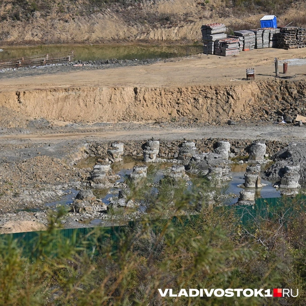 Источник: Елена Буйвол / VLADIVOSTOK1.RU