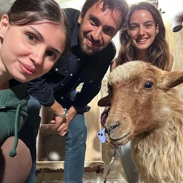 Источник: @zeyatilgan