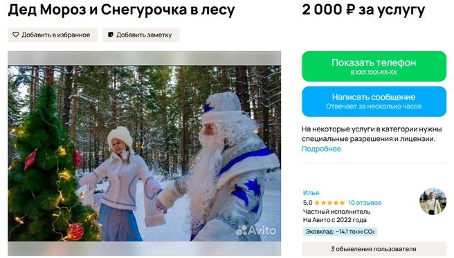 Новогоднее шоу встроят прямо в лесу | Источник: avito.ru
