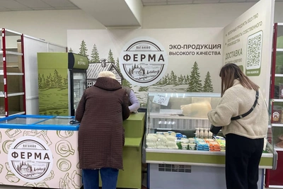 Ферма Ваганово закрывает производство на фоне слухов о забое коров