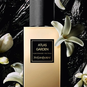 Аромат дня: Atlas Garden от YSL Beauty