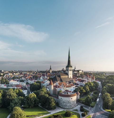 Эстония накормит туристов за 10 евро