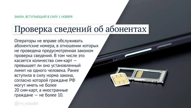 Источник: Вячеслав Володин / Telegram