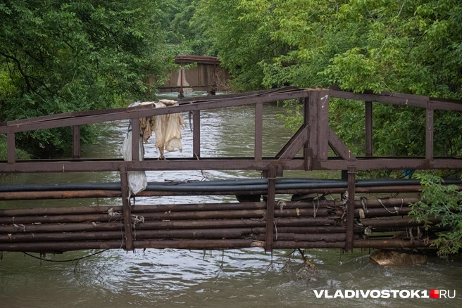 Источник: Елена Буйвол / VLADIVOSTOK1.RU