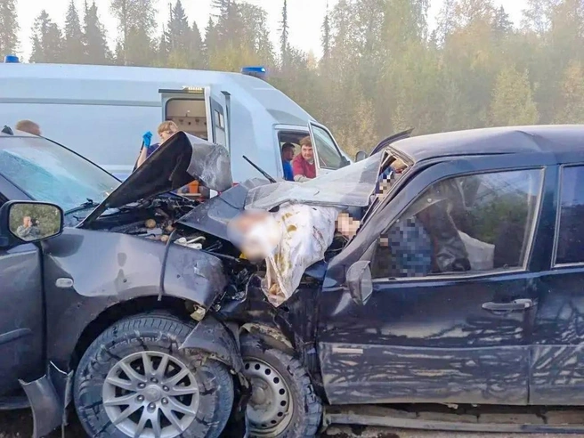 Источник: агентство ГПС и ГЗ Архангельской области
