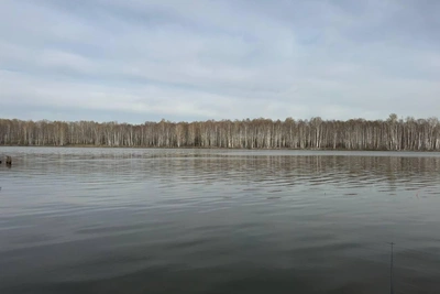 Карпы и караси начали клевать в Новосибирской области — фото