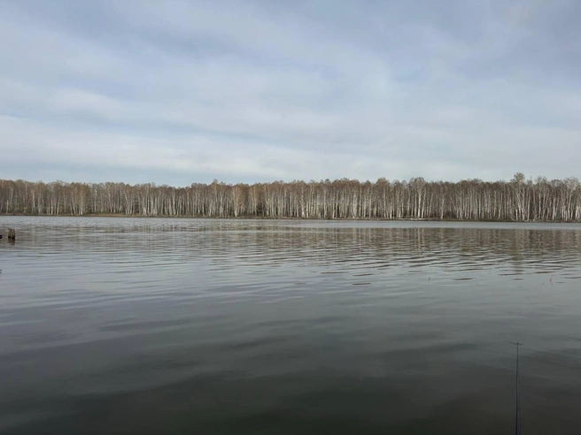 Вода должна была прогреться до определенного уровня | Источник: читательница НГС