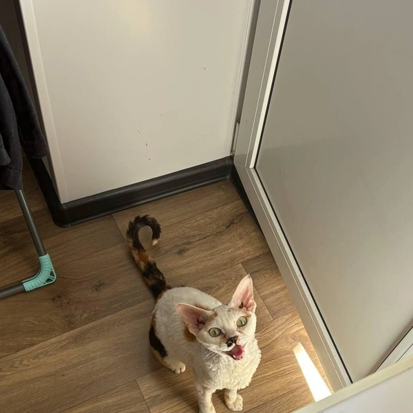 —&nbsp;Ну дааааааай мне все вот это вкусное! | Источник: читатель 63.RU