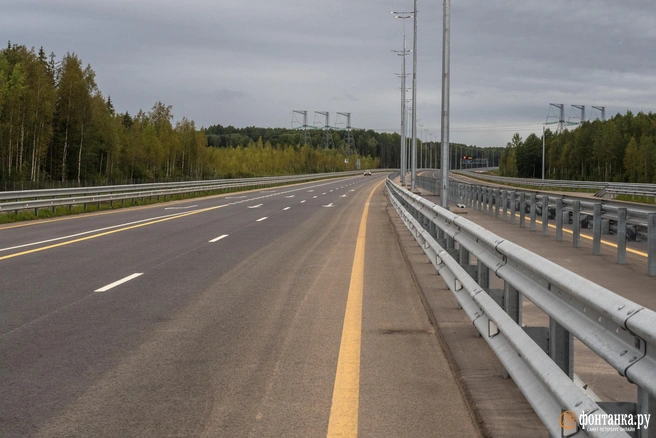 В подобных случаях помогают отбойники | Источник: Михаил Огнев / FONTANKA.RU