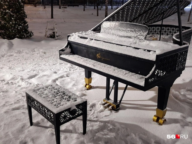 Источник: Анастасия Баринова / 56.RU