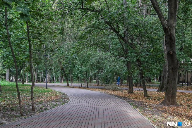 Нижегородцы выбрали три худших парка Нижнего | Источник: Наталья Бурухина / NN.RU