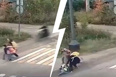 Под Красноярском мотоциклист сбил семилетнюю девочку