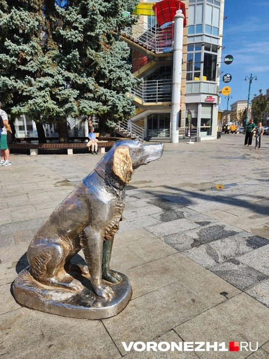 Источник: Ирина Булгакова / Voronezh1.ru