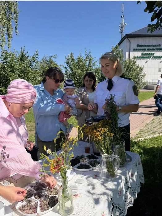 Источник: ojm.tatarstan.ru