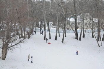 Источник: Анастасия Баринова / 56.RU