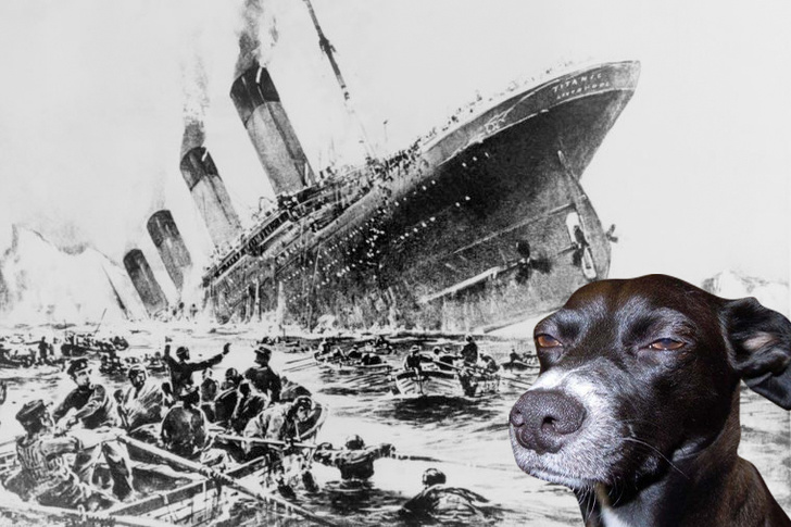 Новая модная теория заговора: «Титаник» на самом деле не утонул
