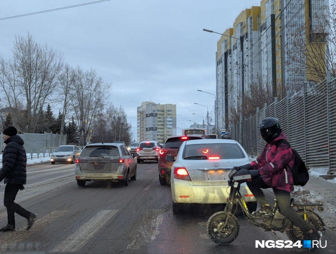 Киберпанк, который мы заслужили | Источник: Мария Ленц / NGS24.RU